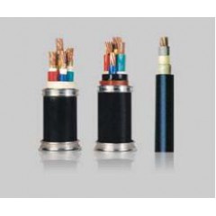 人民0.6-1kV聚氯乙烯絕緣電力電纜