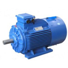 普通變頻調(diào)速電機(jī)
