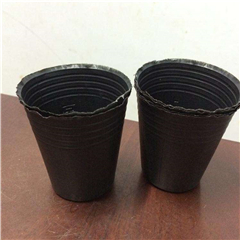 大型營養(yǎng)杯卓越質(zhì)量