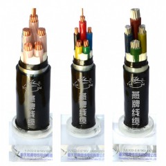 YJV22-3×25+2×16銅芯鎧裝電力電纜