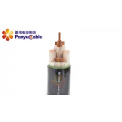 番禺聚氯乙烯絕緣鎧裝電力電纜