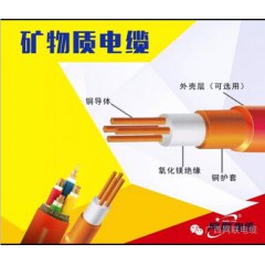 礦物質(zhì)電纜