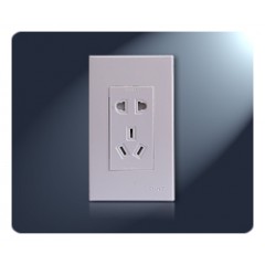 一聯(lián)二極、三極插座(不帶保護門) 10A 250V