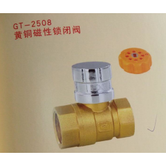 黃銅磁性鎖閉閥】