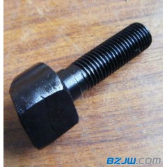【異型螺栓 鵝蛋螺栓】