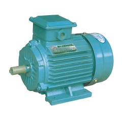 Y2系列鐵殼三相異步電動(dòng)機(jī)
