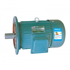 Y系列三相異步 電動(dòng)機(jī)