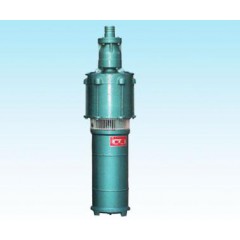 QS小型潛水泵B型