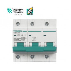 天正電氣（TENGEN）空氣開關(guān) 3P C 63A 6kA 01060280029 TGB1N-125 微型斷路器