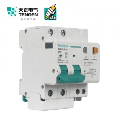 天正電器（TENGEN）TGB1NLE 空氣開關 2P C32A 30mA 01070230100 微型