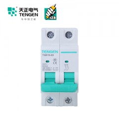 天正電器 空氣開關TGB1N-63 2P C 32A 6KA 01060270091 微型斷路器