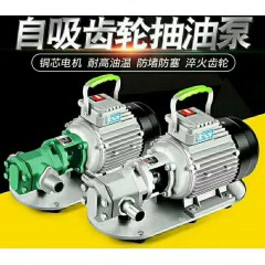 便攜水提油泵