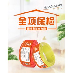 金福友電纜 bvv1.5 平方國(guó)標(biāo)銅芯